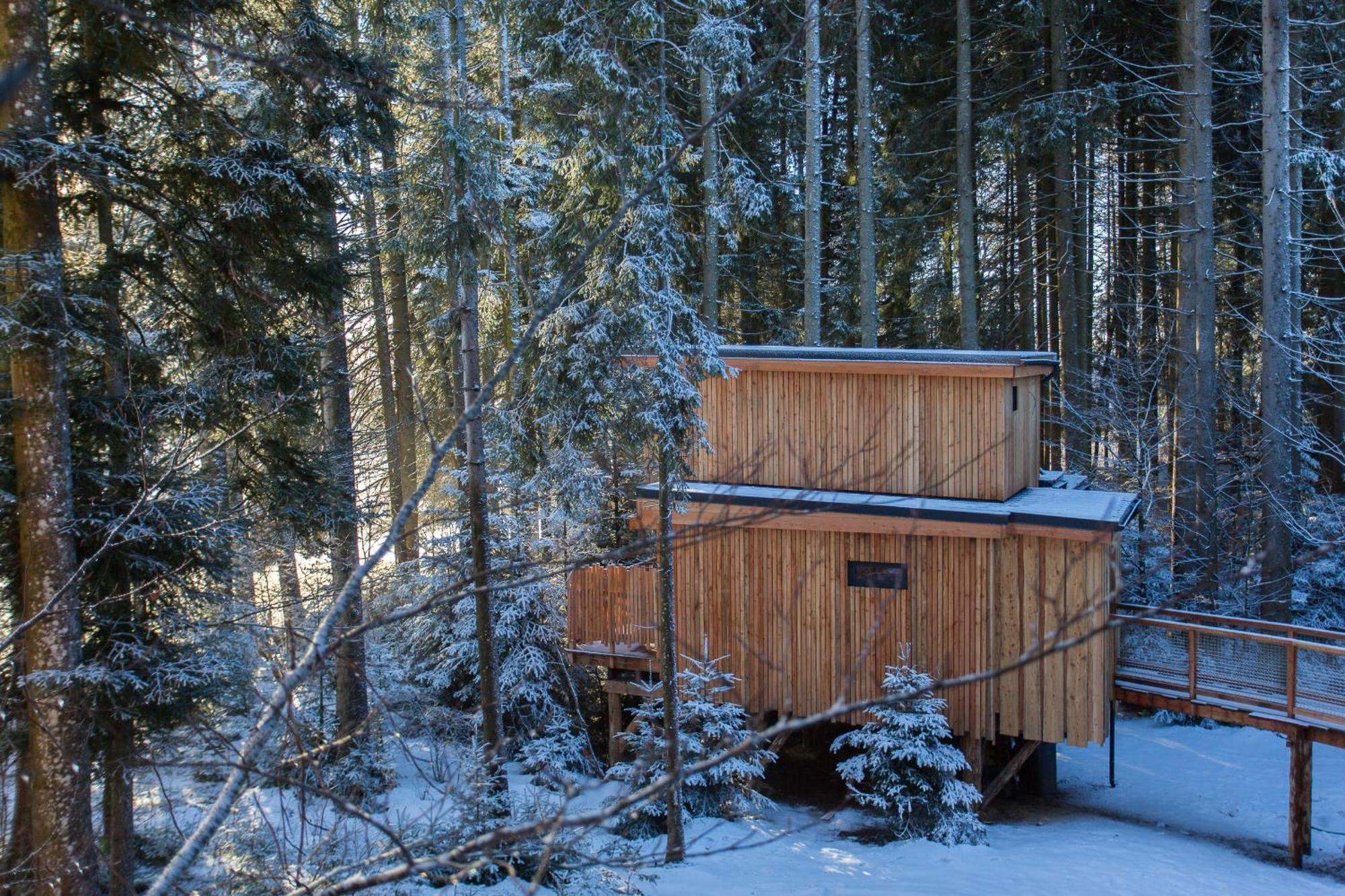Domaine De L'Authentique Cabanes Dans Les Arbres Fournet-Blancheroche Zimmer foto