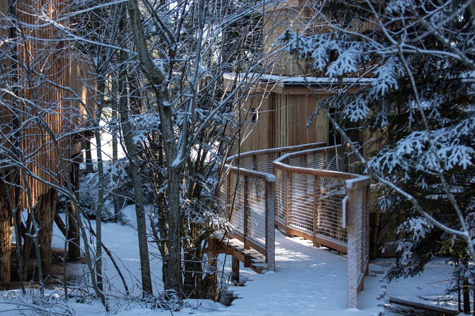 Domaine De L'Authentique Cabanes Dans Les Arbres Fournet-Blancheroche Zimmer foto